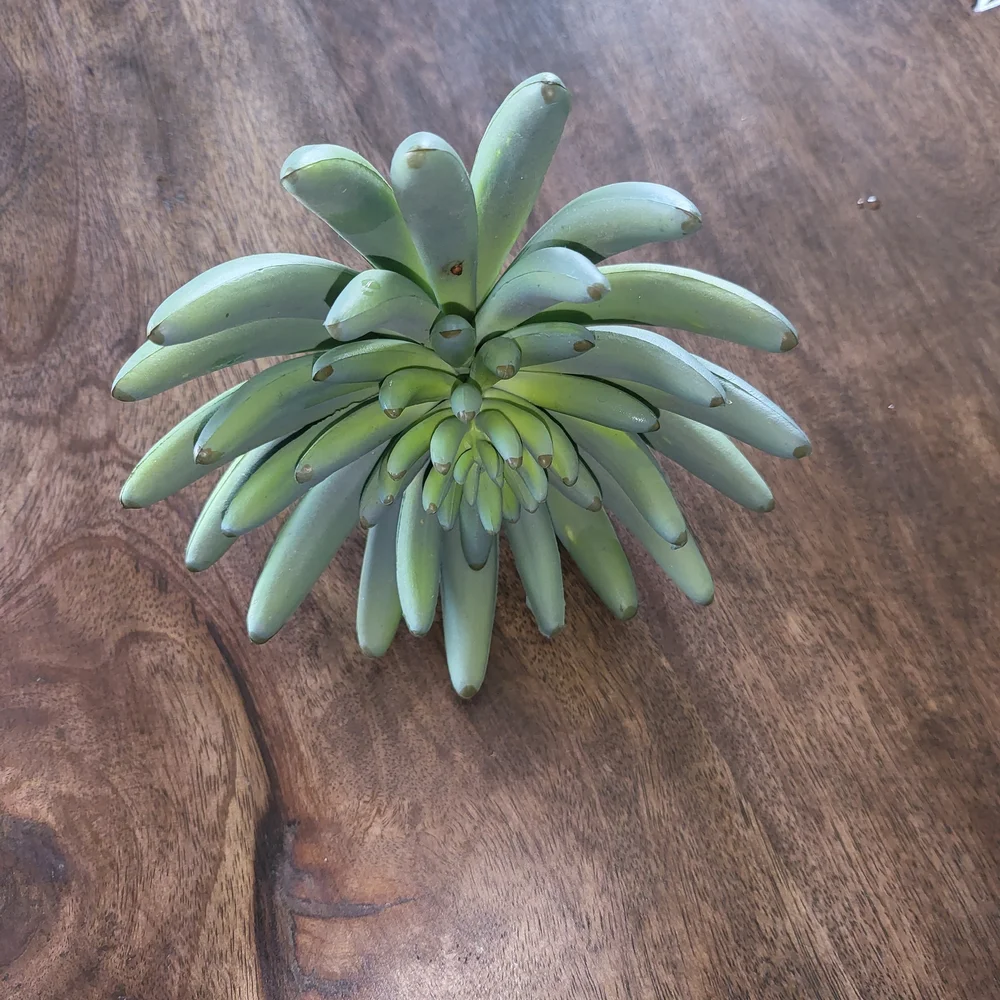 Faux Succulent Plant